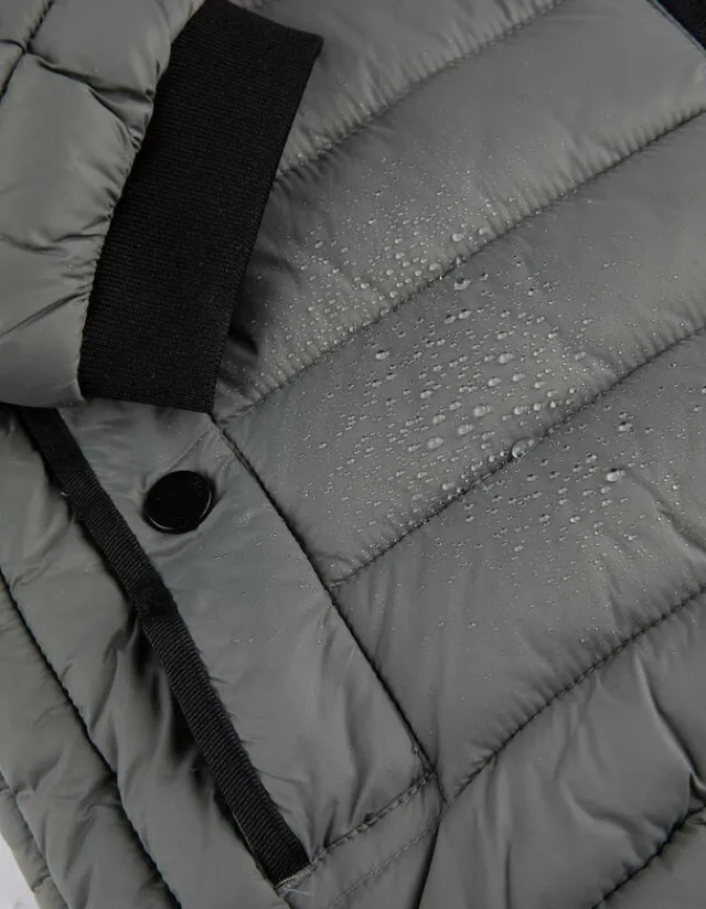 Clearance Steppjacke - Wasserabweisend - Herren Jacken