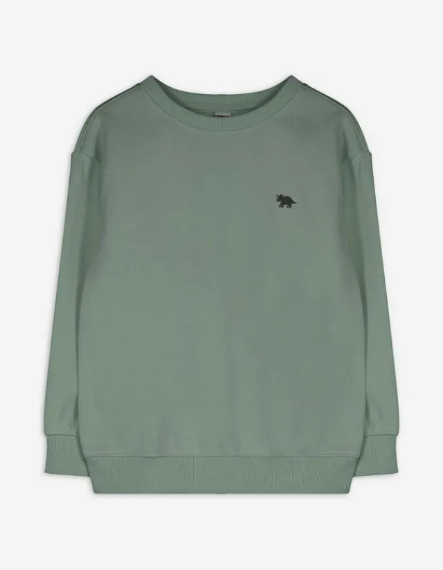 Clearance Sweatshirt - einfarbig - Kinder Jungenkleidung