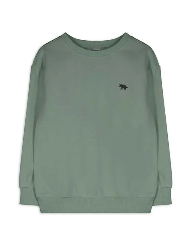 Clearance Sweatshirt - einfarbig - Kinder Jungenkleidung