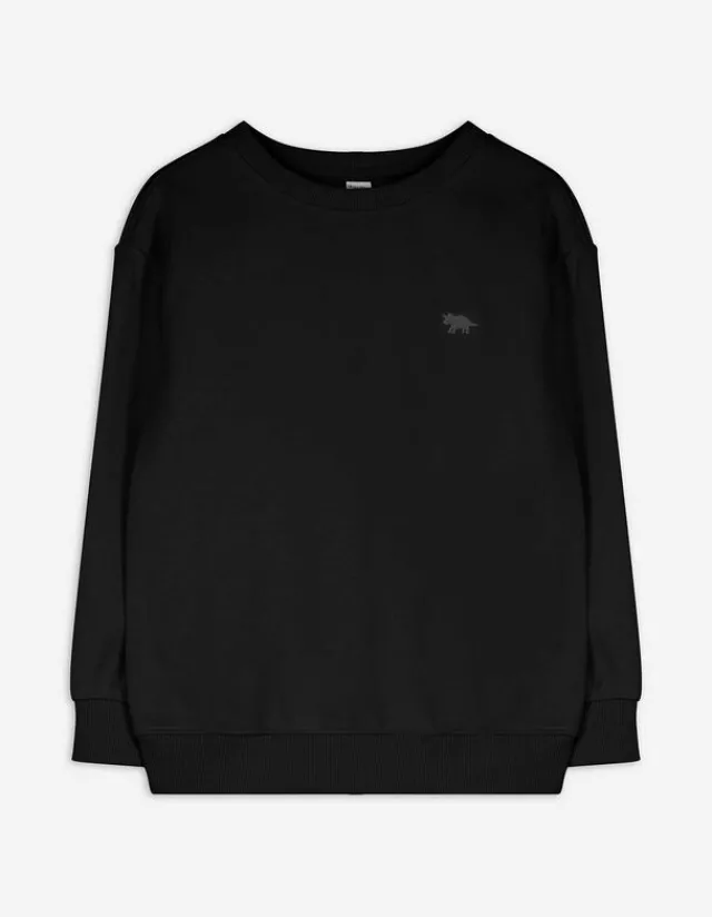 Best Sweatshirt - einfarbig - Kinder Jungenkleidung